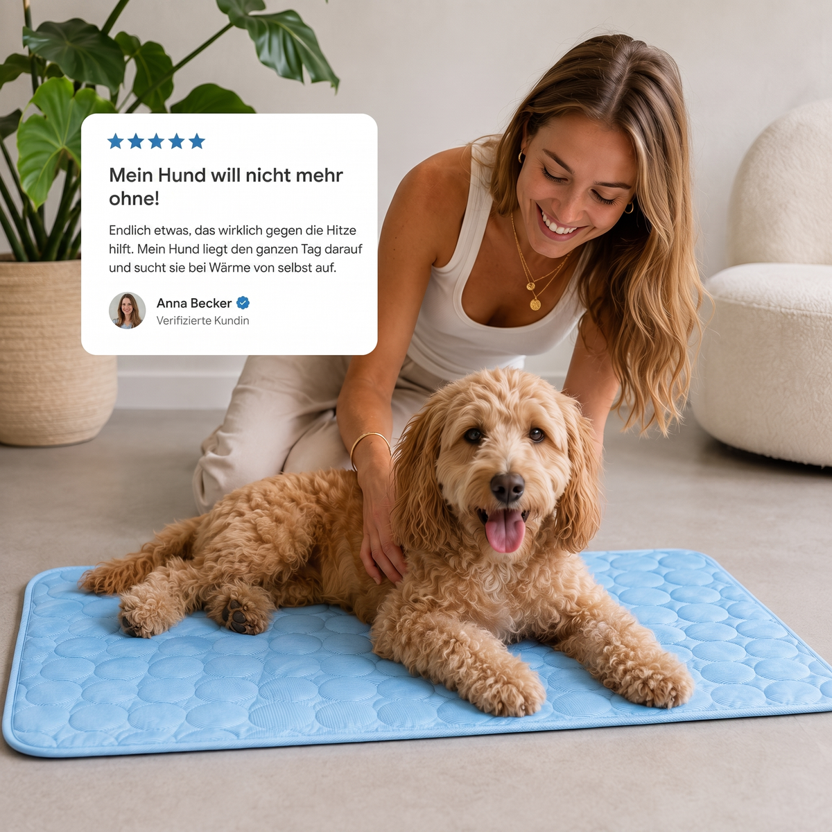 CloudPaw™ — Der kühlende Ruheplatz, den Hunde von selbst aufsuchen