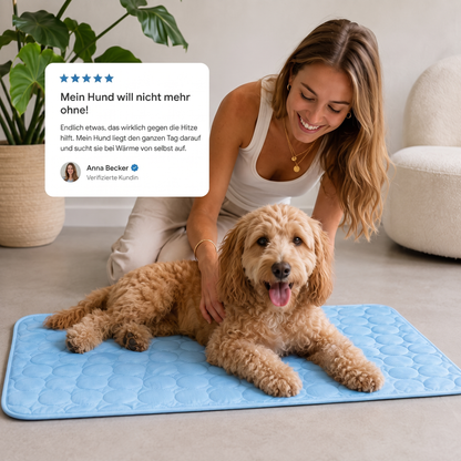 CloudPaw™ — Der kühlende Ruheplatz, den Hunde von selbst aufsuchen