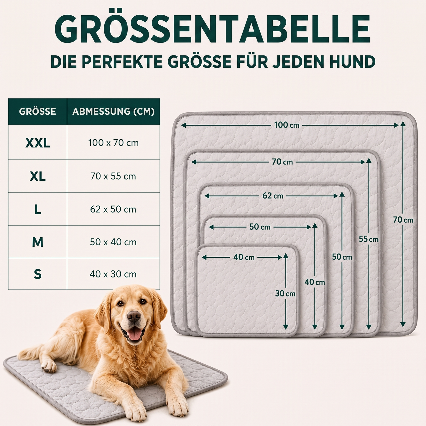 CloudPaw™ — Der kühlende Ruheplatz, den Hunde von selbst aufsuchen