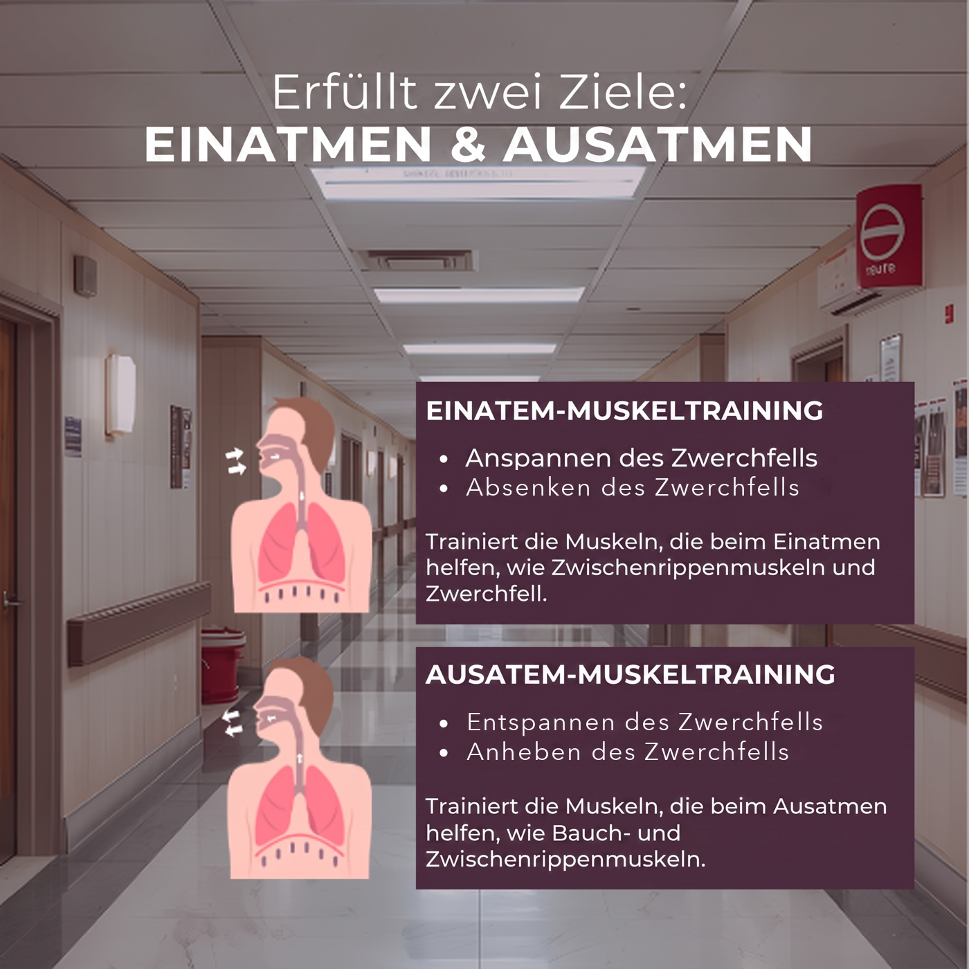 AiroFlow™ MAX - Stärke Deine Atemmuskulatur, Steigere Deine Leistung (inkl. App)